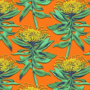 protea on orange