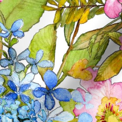 Watercolor pink woodland rose and blue hydrangea