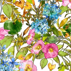 Watercolor pink woodland rose and blue hydrangea