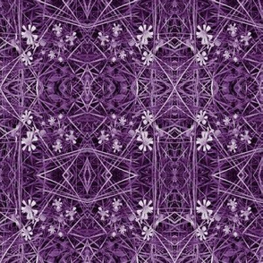 Mystic Daisy Purple