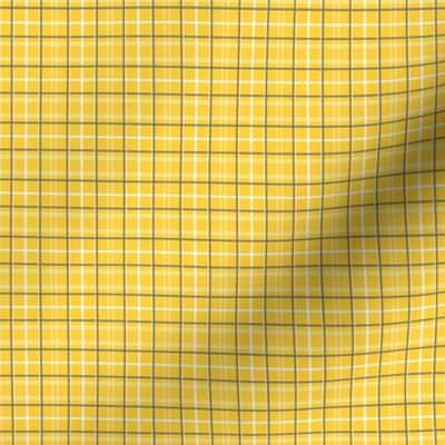 Yellow Tattersall Plaid