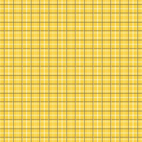 Yellow Tattersall Plaid