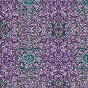 Mystic Clover Purple