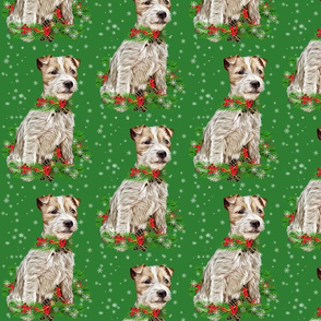 Christmas Jack Russell
