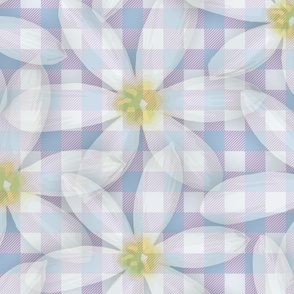 White Flowers on Gingham Check, Botanical Daisy Pattern, Summer Time White and Yellow Floral Print