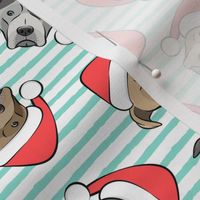 All the pit bulls - Santa hats - Christmas Dog - aqua stripes