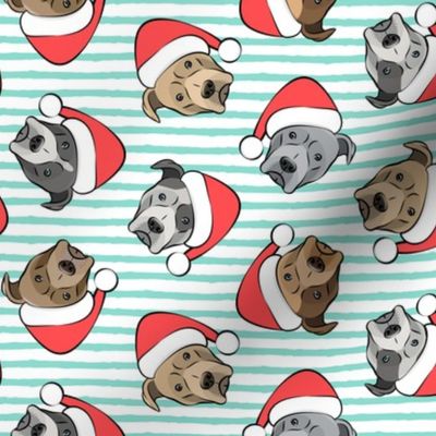 All the pit bulls - Santa hats - Christmas Dog - aqua stripes