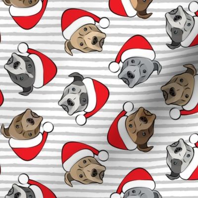 All the pit bulls - Santa hats - Christmas Dog - Grey Stripes