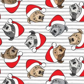 All the pit bulls - Santa hats - Christmas Dog - Grey Stripes