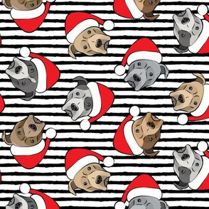 All the pit bulls - Santa hats - Christmas Dog (black stripes)