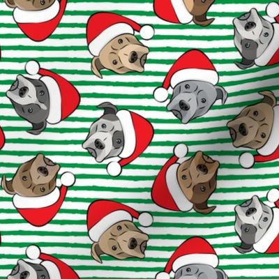 All the pit bulls - Santa hats - Christmas Dog (green stripes)