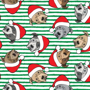 All the pit bulls - Santa hats - Christmas Dog (green stripes)