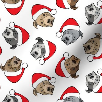 All the pit bulls - Santa hats - Christmas Dogs