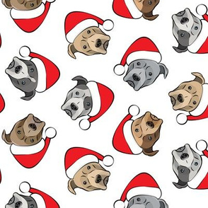 All the pit bulls - Santa hats - Christmas Dogs