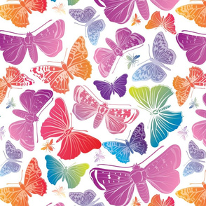 Butterflies Pastels on White