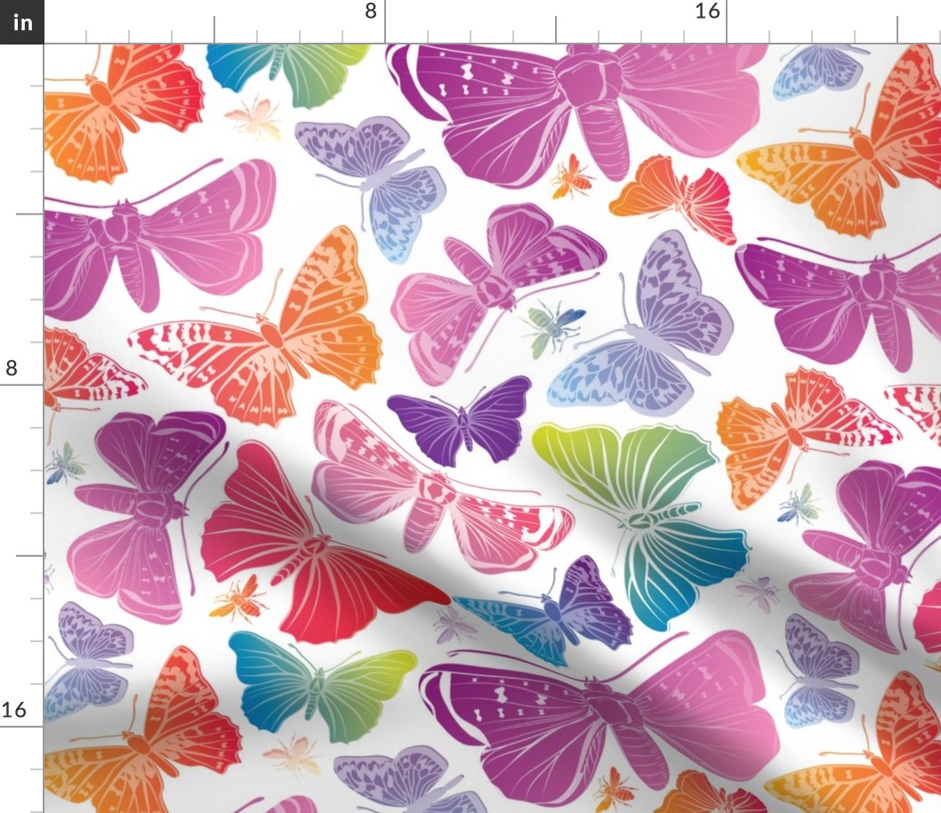 Butterflies Pastels on White