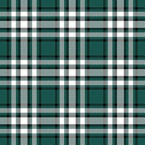 Green and White Plaid