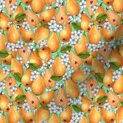 Orange pears in flowers on a light green background