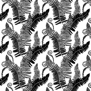 Native ferns, vintage feel- large scale black and white