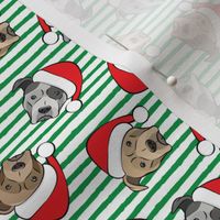 (small scale) All the pit bulls - Santa hats - Christmas Dog (green stripes) C18BS
