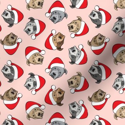 (small scale) All the pit bulls - Santa hats - Christmas Dog (pink)  C18BS