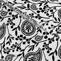 Black and White Paisley