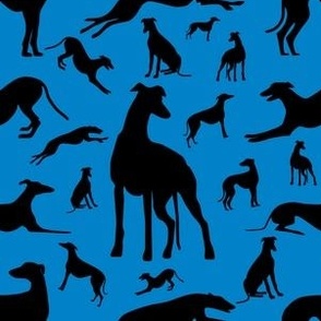 Greyt_Greyhound_Silhouettes_on_Blue