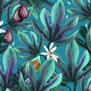 Leaves, flowers and fruits of figs on a dark turquoise background