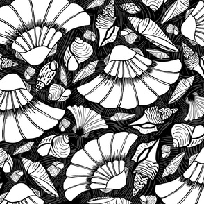 Scratchboard Sea Shell Collection, XL