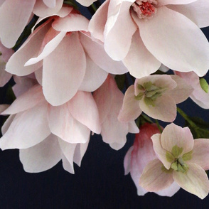 Crepe Paper Magnolias & Hellebores