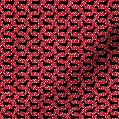 Polka Dachshund (Red Mini)