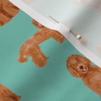 labradoodle dog pattern fabric - apricot labradoodle design, apricot dog, dog breed fabric, dog breeds fabric, cute dog - blue