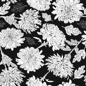 Chrysanthemum