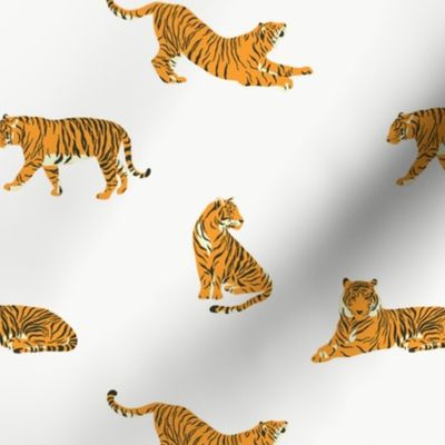 Tigers / Jungle Park