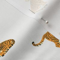 Tigers / Jungle Park