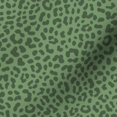 Leopard Print / Jungle Park