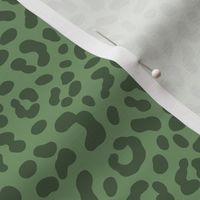Leopard Print / Jungle Park
