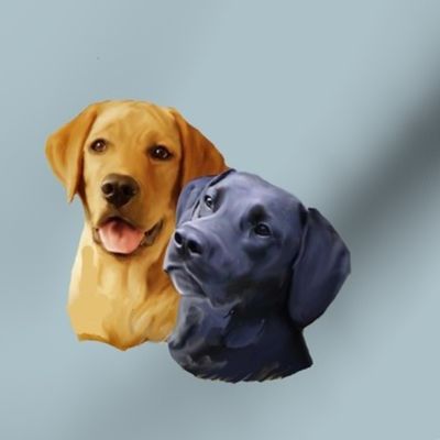 Yellow and black Labrador Retriever heads