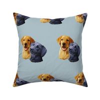 Yellow and black Labrador Retriever heads