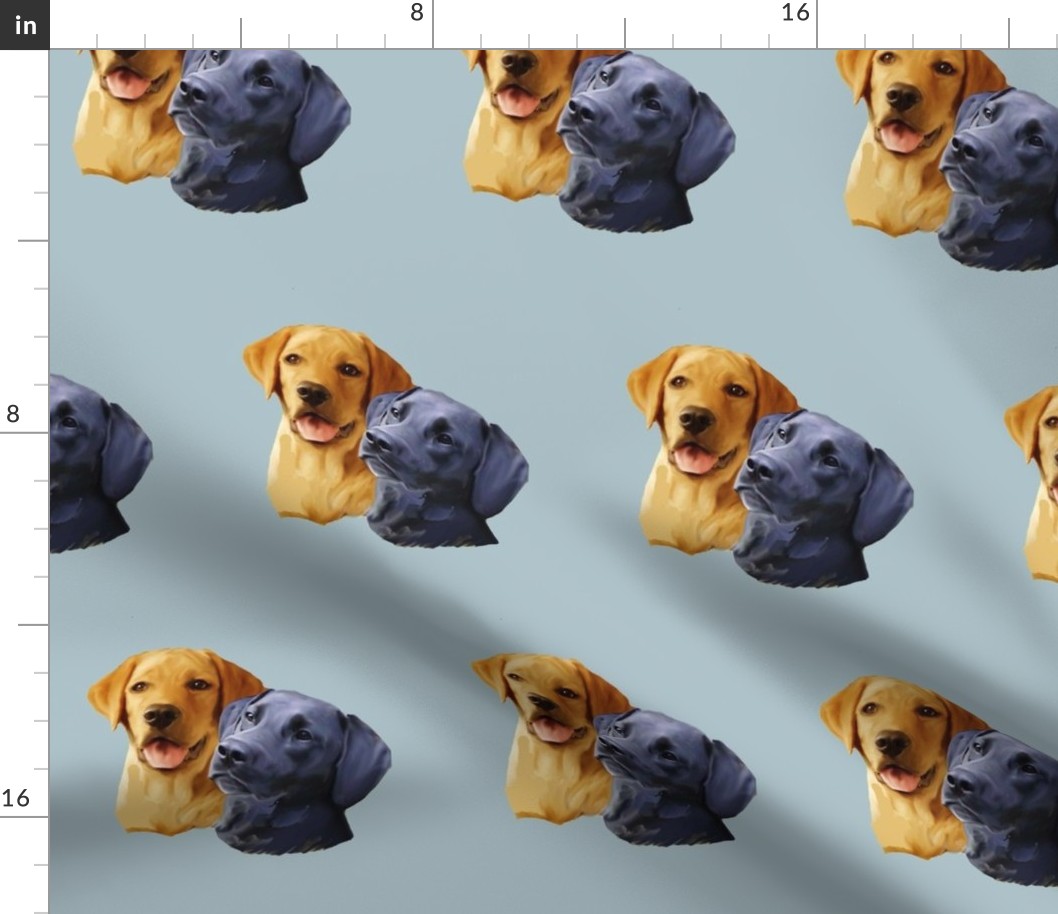 Yellow and black Labrador Retriever heads