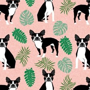 boston terrier tropical monstera leaf pattern fabric - boston terrier fabric, tropical fabric, monstera leaf pattern fabric, monstera - blush pink