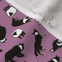 Border collies + sheep mauve