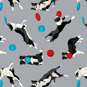 Border Collie Disc Dog fabric - disc dog, dog, dogs, agility dog, border collie fabric, black and white border collie dog, dog fabric by the yard -  grey