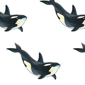 Killer Whale Pattern