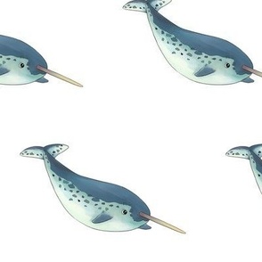 Narwhal Pattern 