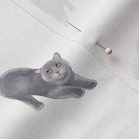 Gray Cat Pattern