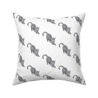 Gray Cat Pattern