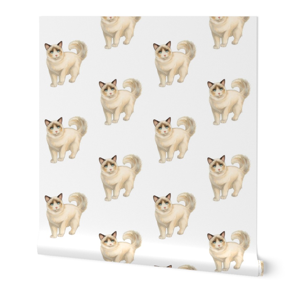 Ragdoll Cat Pattern