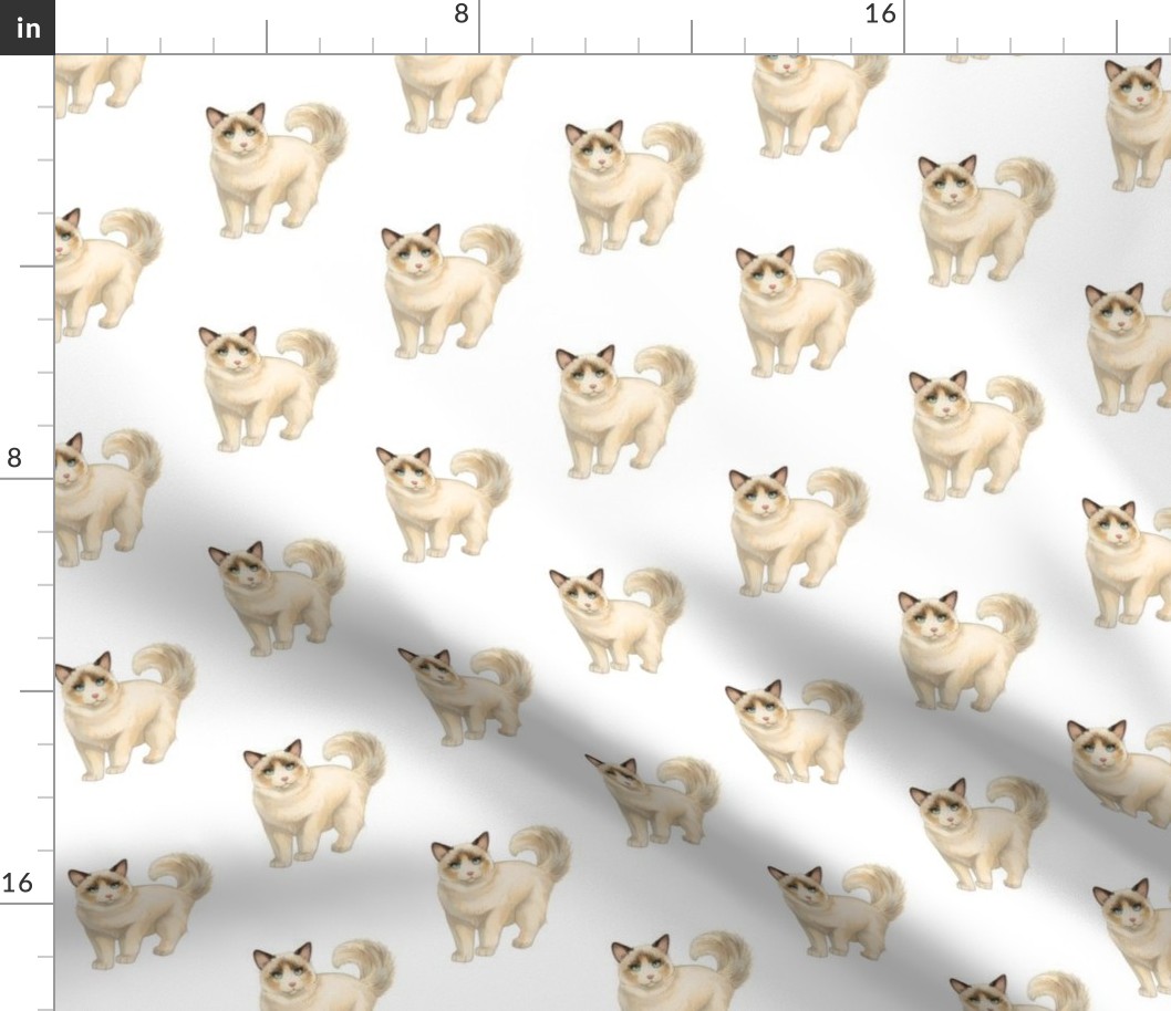 Ragdoll Cat Pattern