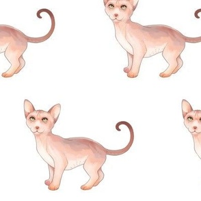 Sphynx Cat Pattern